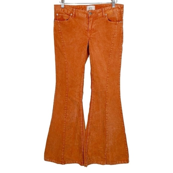 Urban Outfitters BDG Low Rise Corduroy flare Leg Pants Size 26 - Picture 1 of 9